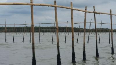 Pagar misterius di pesisir pantai di Tangerang. [Foto: Dok Disway/RMN]