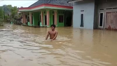 Kampung Cikayas, Kecamatan Angsana, dilaporkan terendam banjir setinggi 2 hingga 2,5 meter sejak Senin pagi, 26 Mei 2025. - Foto: Dok KSB/RRI Banten -
