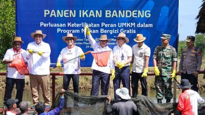 Kementerian Usaha Mikro, Kecil, dan Menengah (UMKM) melibatkan sektor perikanan dalam program Makan Bergizi Gratis (MBG). - Humas UMKM -