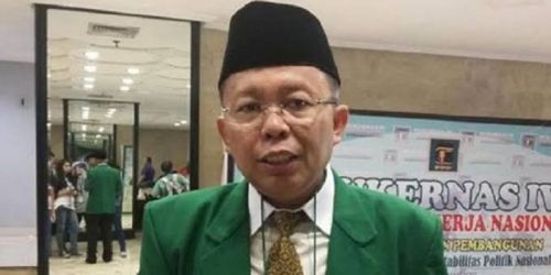 Wakil Ketua Umum DPP PPP/Net