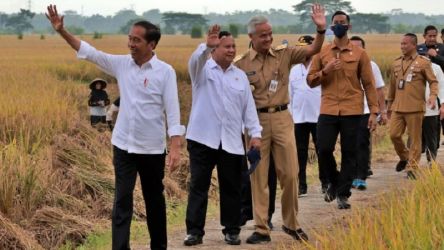 Presiden Joko Widodo kompak bersama Gubernur Jawa Tengah Ganjar Pranowo dan Menteri Pertahanan Prabowo Subianto, menghadiri panen raya di Desa Lejer, Kebumen, Jawa Tengah/Repro